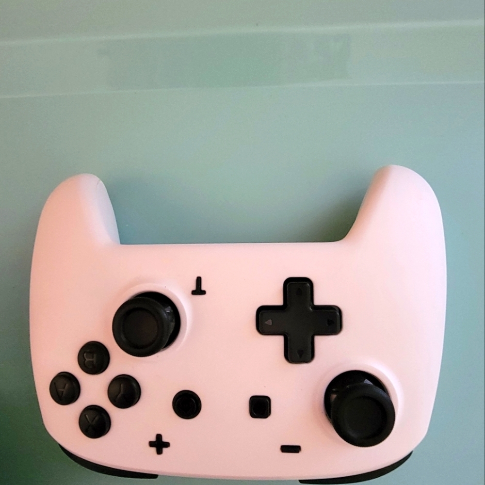New Enchanted Wireless controler